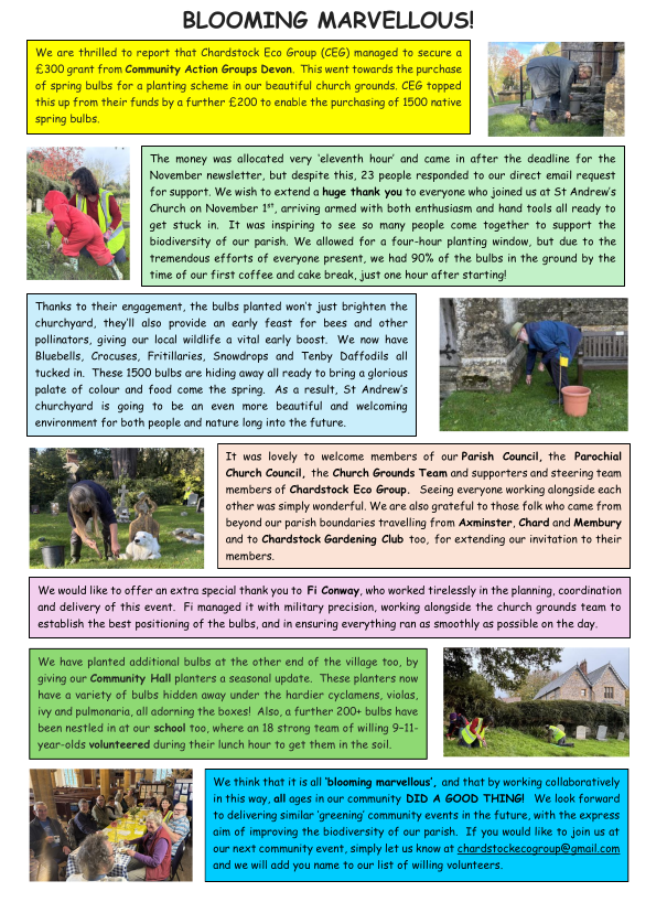 December 2025 newsletter screenshot