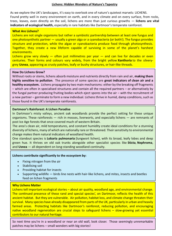 November 2025 newsletter screenshot